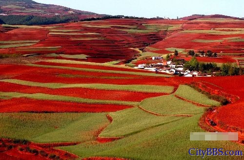 云南东川：“天南铜都”的困境