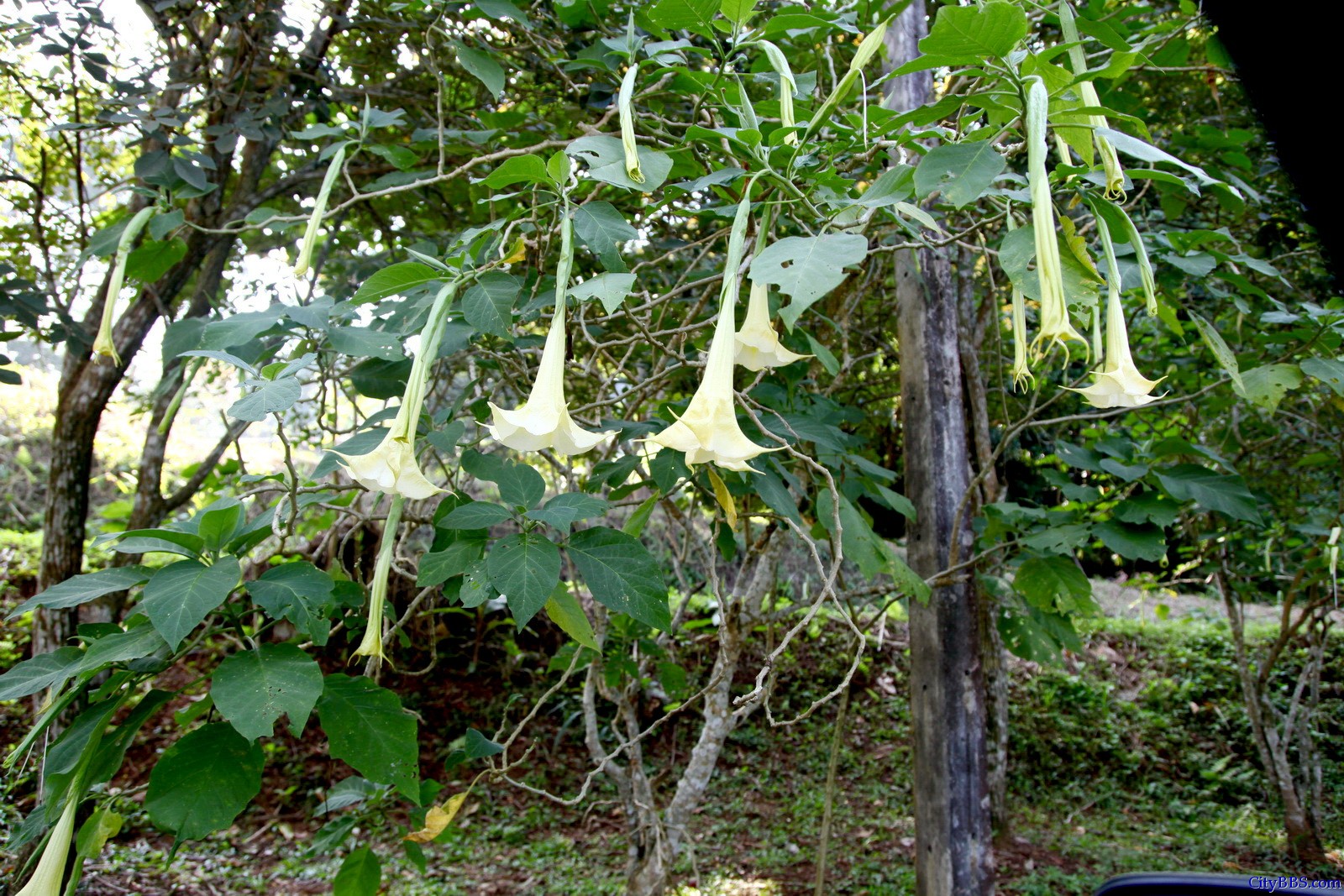 拜谒段希文将军墓地是我们此次美斯乐的主要行程安排 拜谒段希文将军墓地是我们此次美斯乐的主要行程安排