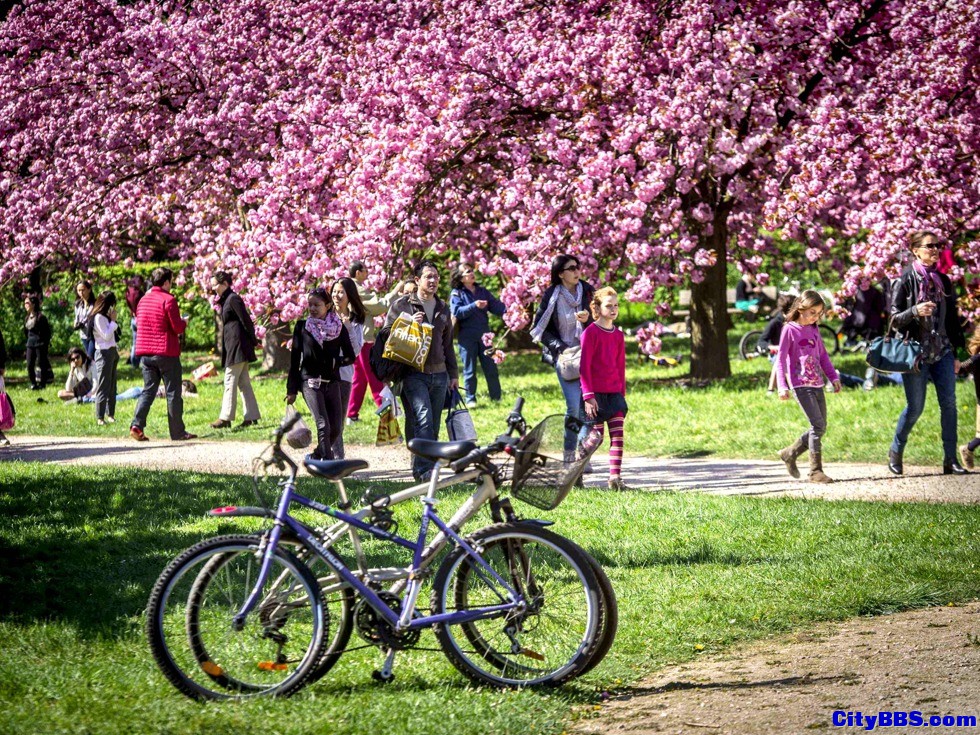 巴黎：曾是全世界眼中的一座梦幻之城