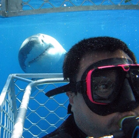 不作死就不会死！“自拍死”成全球现象