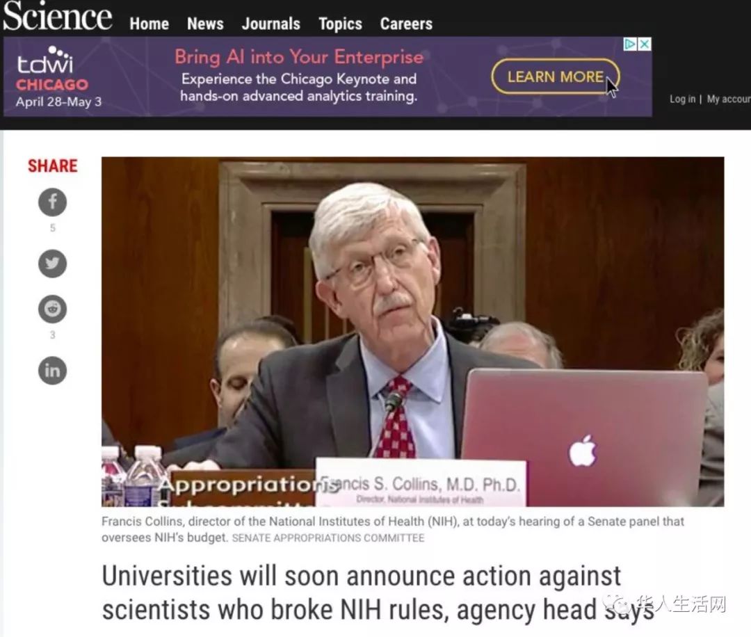 未来一两周腥风血雨美国华人教授饭碗端不稳