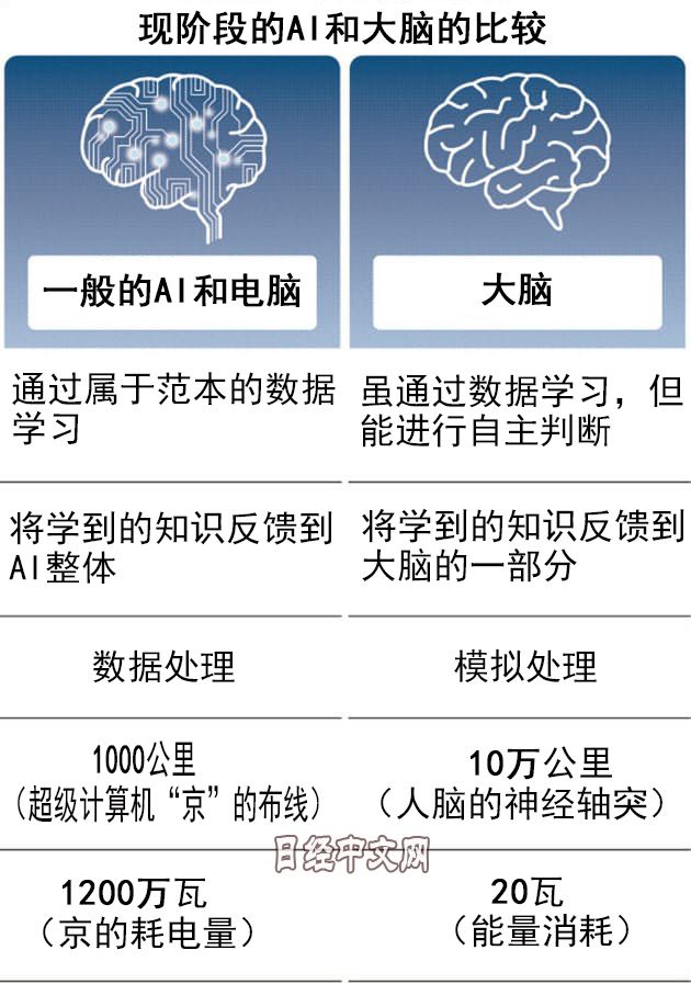 AI越来越接近人类大脑
