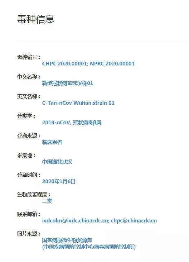 肺炎救星出现？病毒毒种成功分离 抑制剂已在路上