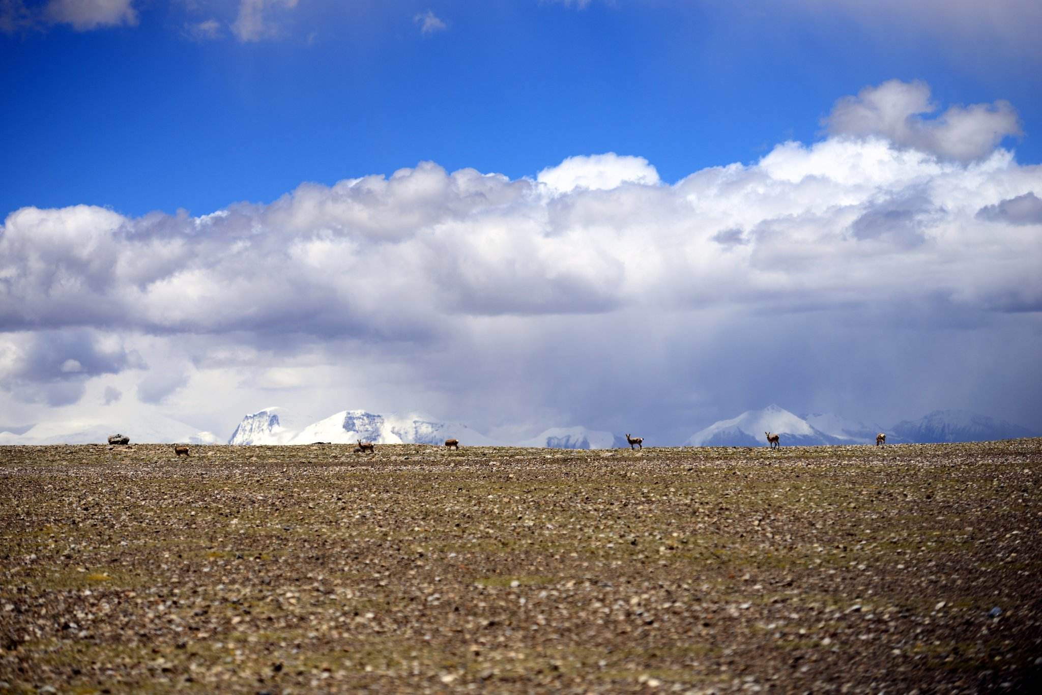 世界上离天空最近的村子 平均寿命只有40岁