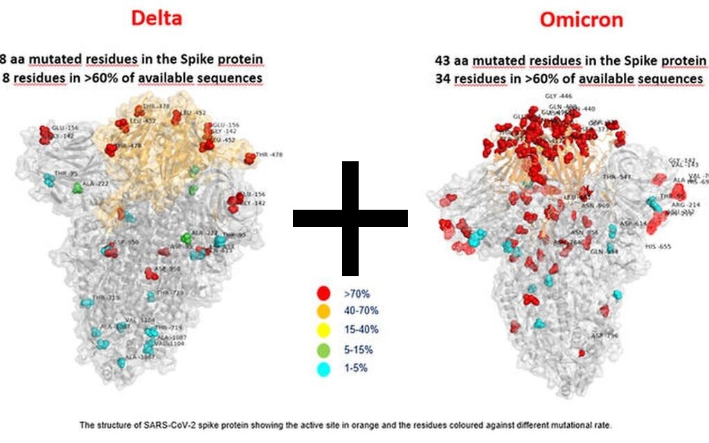 O+D！超级变种冬季将出现?