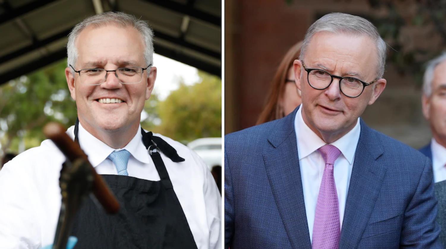 莫里森和阿尔巴尼斯