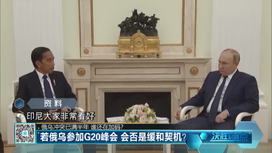 如果俄乌领导人决定出席G20峰会，印尼准备尝试在峰会期间安排普京与泽连斯基会晤 ...
