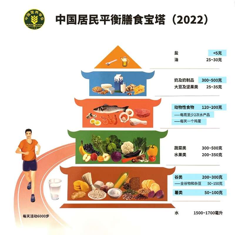 东方膳食模式具体怎么吃？也就是新版膳食宝塔所推荐的食物结构