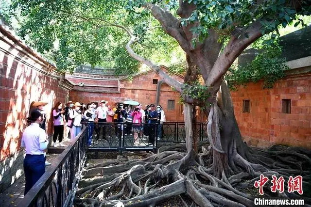游客参观晋江梧林古村落