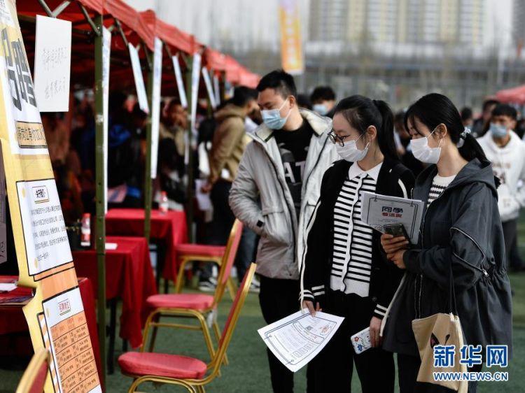 高校毕业生找工作