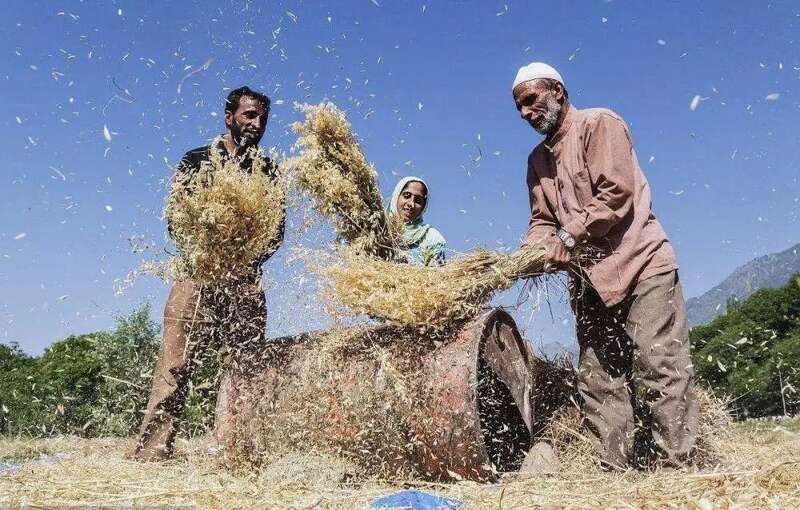 正在劳作的印度农民