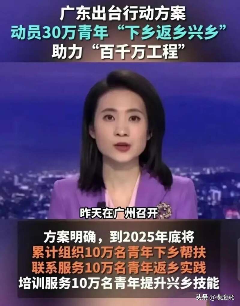 广东省关于下发《广大青年下乡返乡兴乡助力“百县千镇万村高质量发展工程”三年行动》方案实施 ...