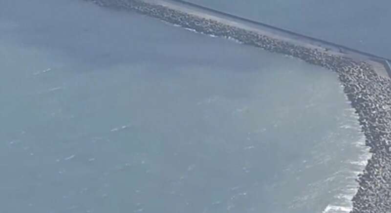 海水颜色都变了