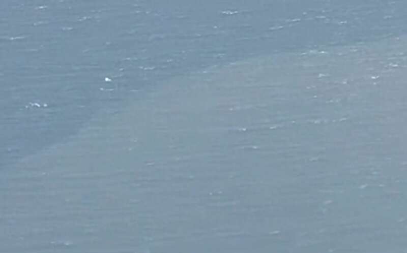 海水颜色都变了