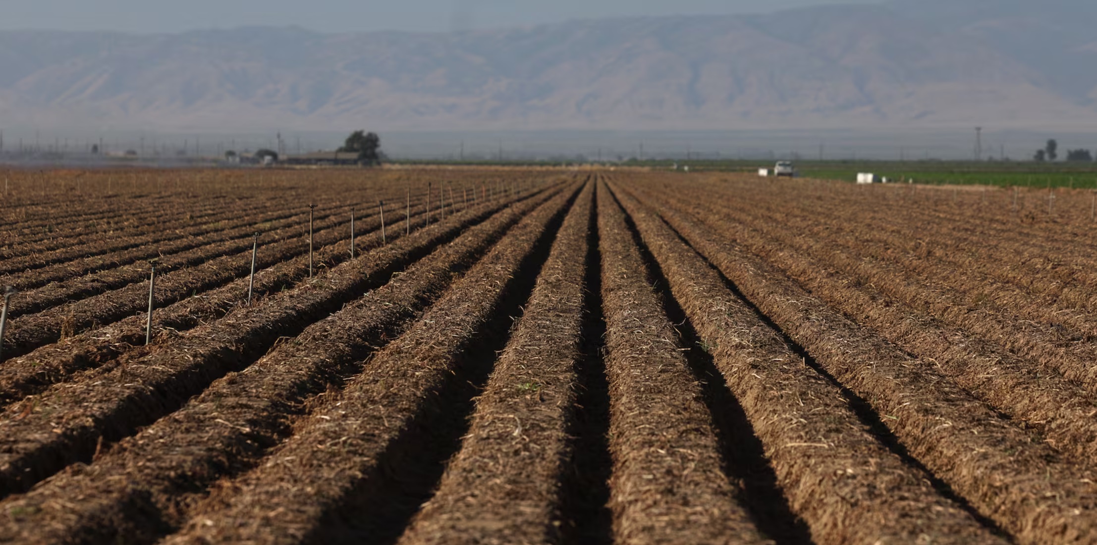 加利福尼亚州奥克斯纳德的一片农田
